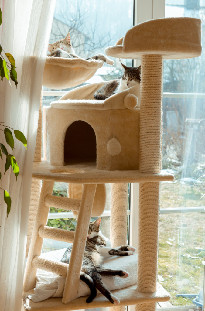 cat tower